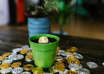 Top Layer 2 Solutions Launching on Ethereum in 2024