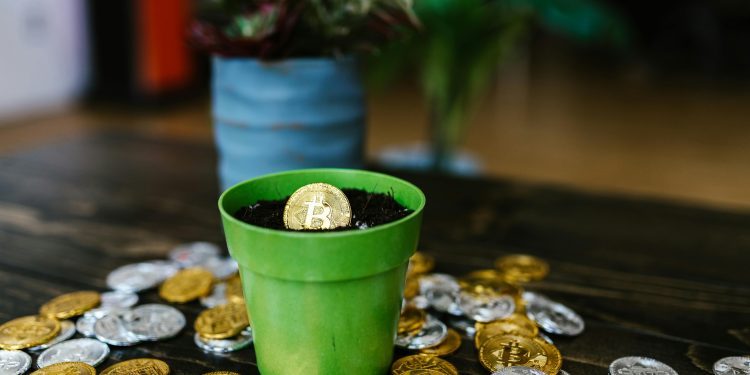 Top Layer 2 Solutions Launching on Ethereum in 2024