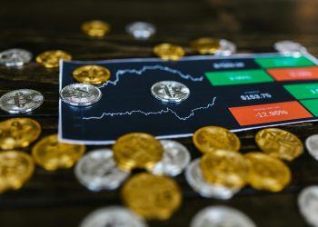 Top Altcoins for Long-Term Holders: What to Buy in 2024