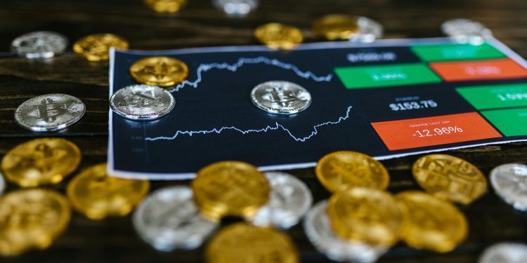 Top Altcoins for Long-Term Holders: What to Buy in 2024